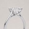 The Oval Signature Ring