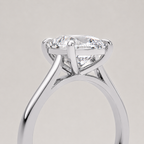 The Oval Signature Ring