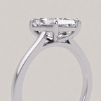 The Princess Signature Ring